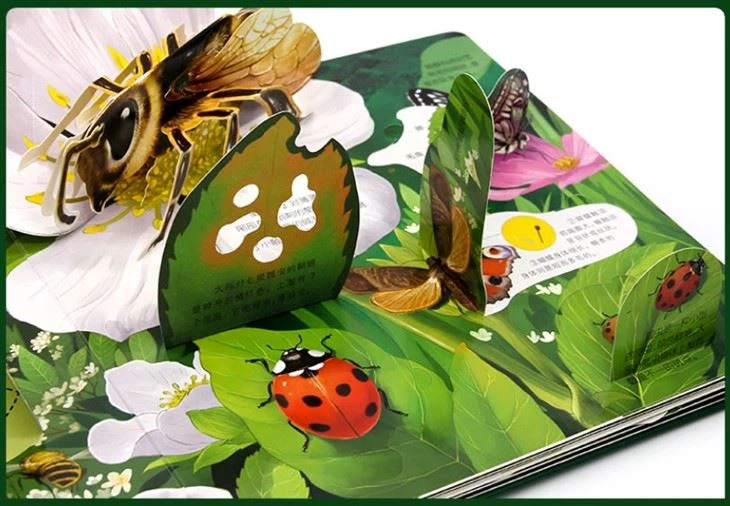 Livros pop-up personalizados
