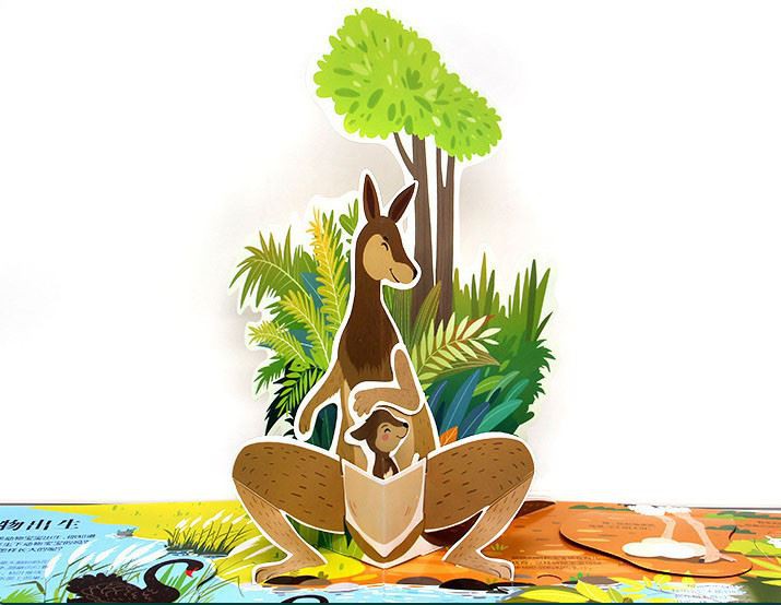 The Pop Up Book