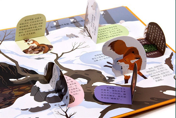 The Pop Up Book