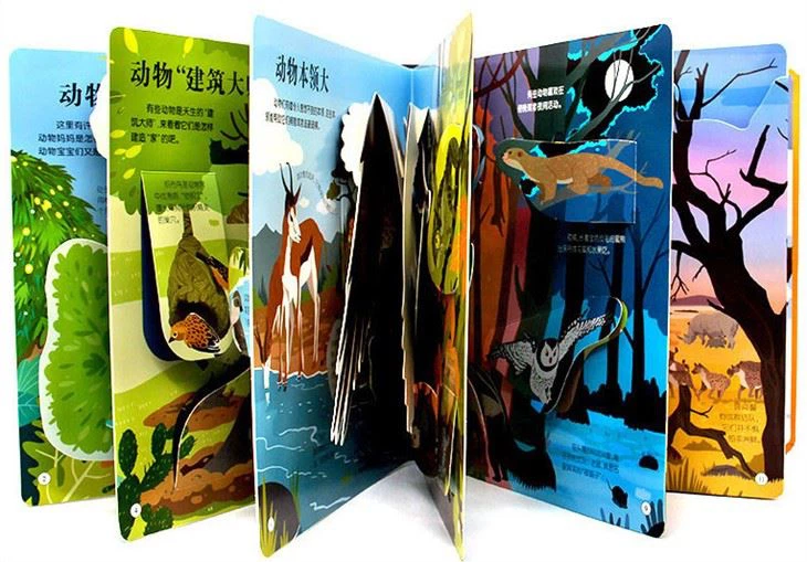 The Pop Up Book